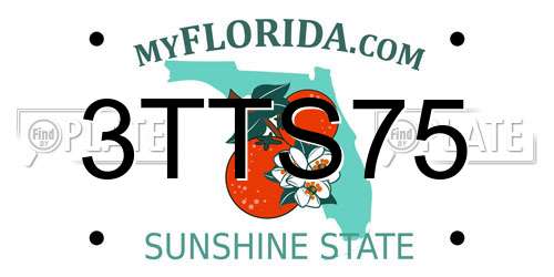 3TTS75 Florida License Plate