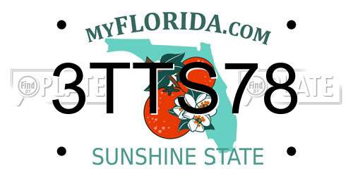 3TTS78 Florida License Plate