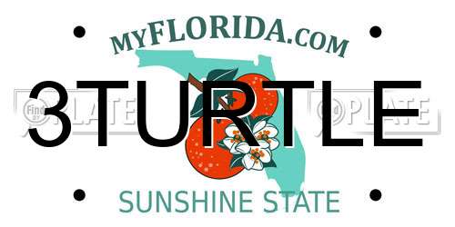 3TURTLE Florida License Plate