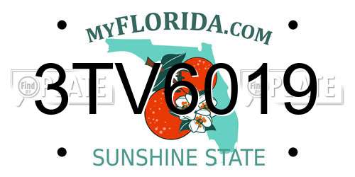 3TV6019 Florida License Plate
