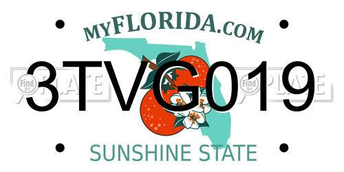 3TVG019 Florida License Plate