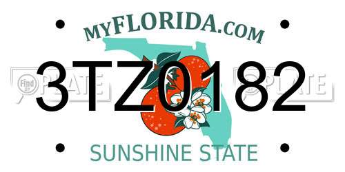 3TZ0182 Florida License Plate