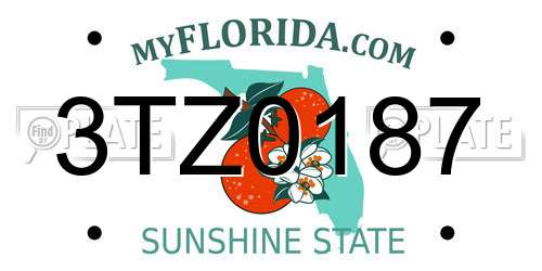 3TZ0187 Florida License Plate