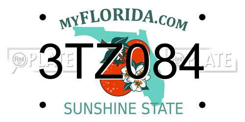 3TZ084 Florida License Plate