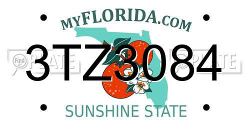 3TZ3084 Florida License Plate