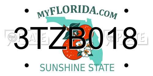 3TZB018 Florida License Plate