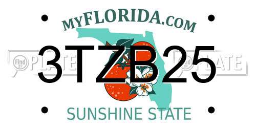 3TZB25 Florida License Plate