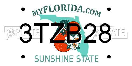 3TZB28 Florida License Plate