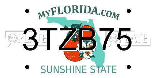 3TZB75 Florida License Plate
