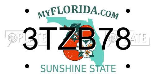 3TZB78 Florida License Plate