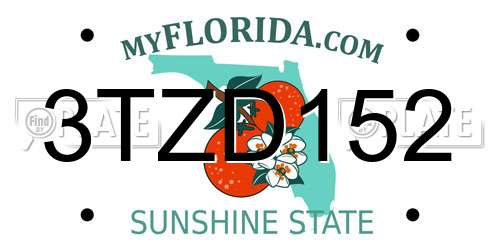 3TZD152 Florida License Plate
