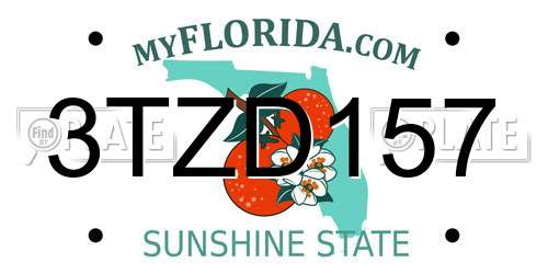3TZD157 Florida License Plate