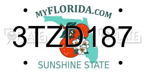 3TZD187 Florida License Plate