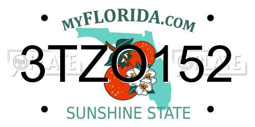 3TZO152 Florida License Plate