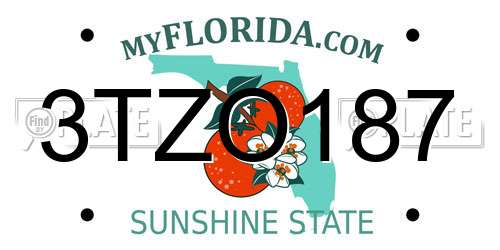 3TZO187 Florida License Plate