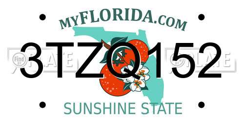 3TZQ152 Florida License Plate