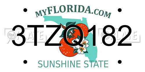 3TZQ182 Florida License Plate