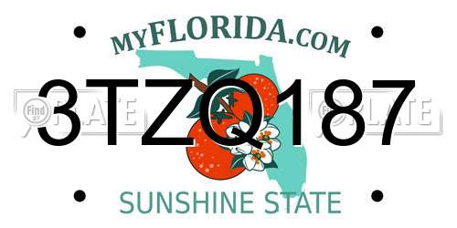 3TZQ187 Florida License Plate