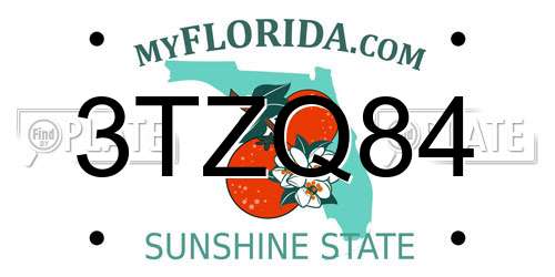 3TZQ84 Florida License Plate