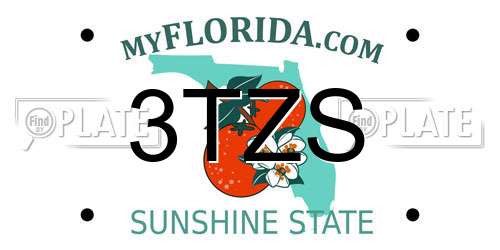 3TZS Florida License Plate