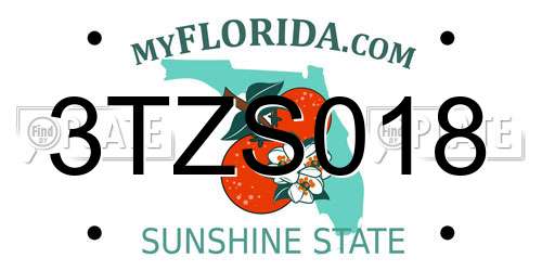 3TZS018 Florida License Plate