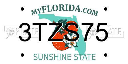 3TZS75 Florida License Plate