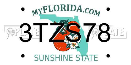 3TZS78 Florida License Plate