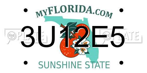 3U12E5 Florida License Plate