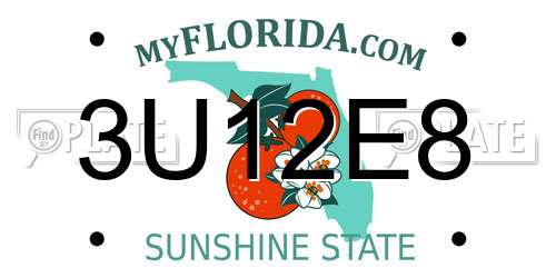 3U12E8 Florida License Plate