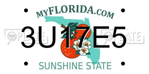 3U17E5 Florida License Plate