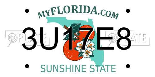 3U17E8 Florida License Plate