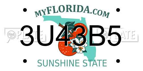 3U43B5 Florida License Plate