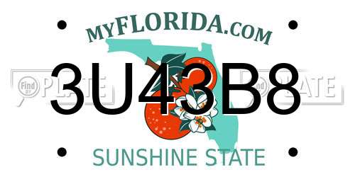 3U43B8 Florida License Plate