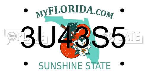 3U43S5 Florida License Plate