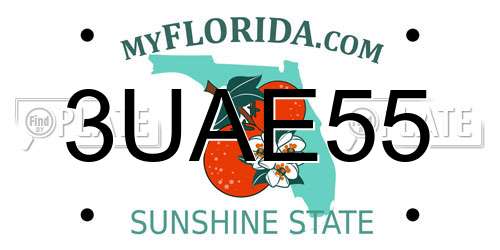 3UAE55 Florida License Plate