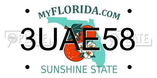 3UAE58 Florida License Plate