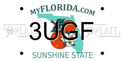 3UGF Florida License Plate