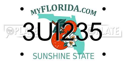 3UI235 Florida License Plate