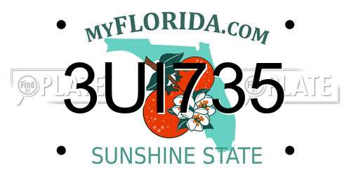 3UI735 Florida License Plate