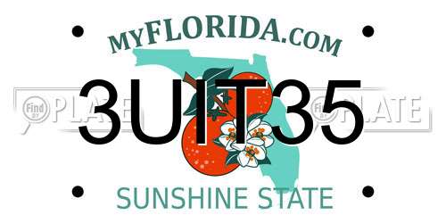 3UIT35 Florida License Plate