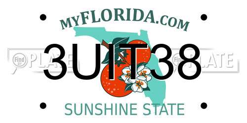 3UIT38 Florida License Plate
