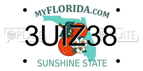 3UIZ38 Florida License Plate