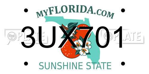 3UX701 Florida License Plate