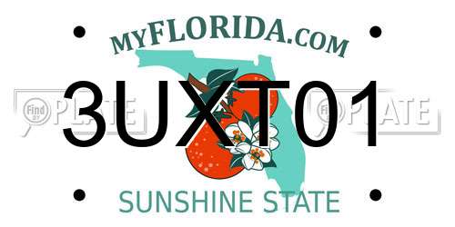 3UXT01 Florida License Plate