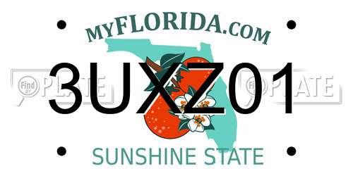 3UXZ01 Florida License Plate