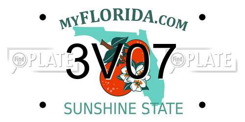 3V07 Florida License Plate