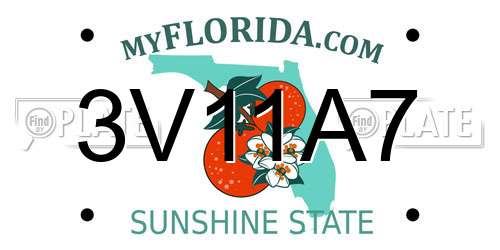 3V11A7 Florida License Plate