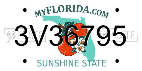 3V36795 Florida License Plate