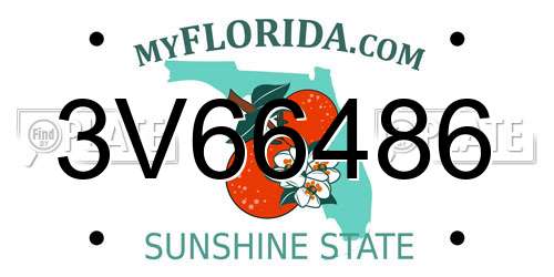 3V66486 Florida License Plate