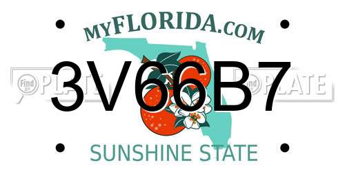 3V66B7 Florida License Plate